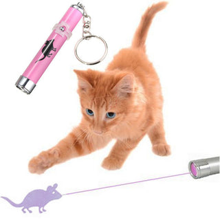 LED Laser Pointer Cat Toys