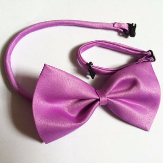 Adjustable Polyester Multicolor Bowtie