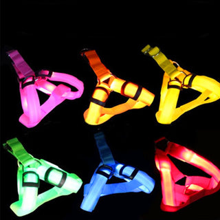 Safety LED Flashing Light Harness