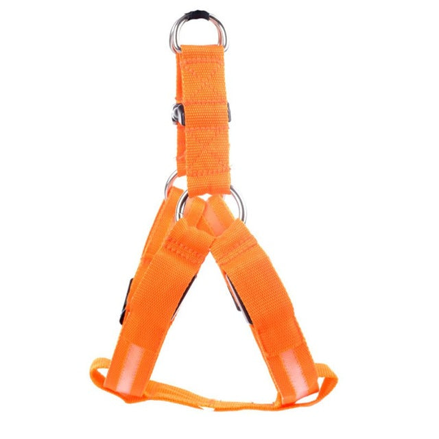 Safety LED Flashing Light Harness