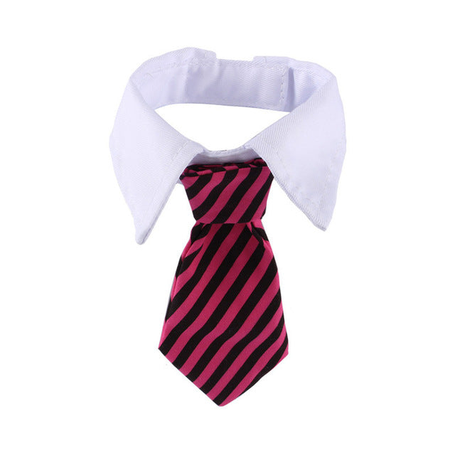 Cat Striped Bow Tie