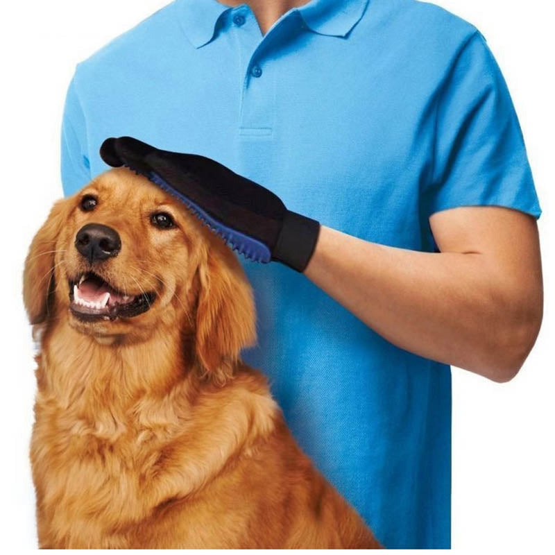 Dog Massage Hair Removal