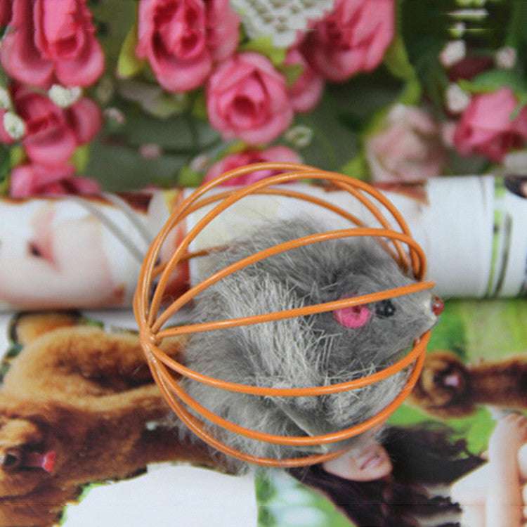 Mice Ball Cage Toys