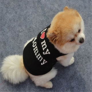 Cute Spring Pet T-shirt