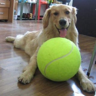 Giant Tennis Ball Pet Toys