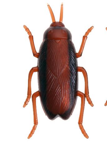 Interactive Electronic Insect Toy