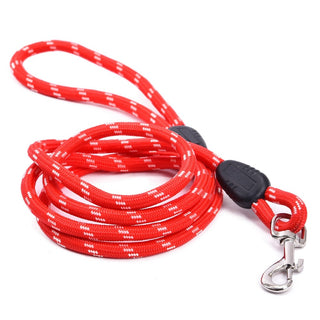 Training Walk Pet Lead Rope