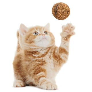 Natural Catnip Treat Ball